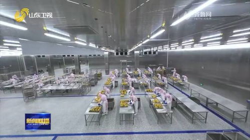 聊城烤鴨 首飛 歐洲 特色農(nóng)產(chǎn)品國(guó)際 朋友圈 不斷擴(kuò)大