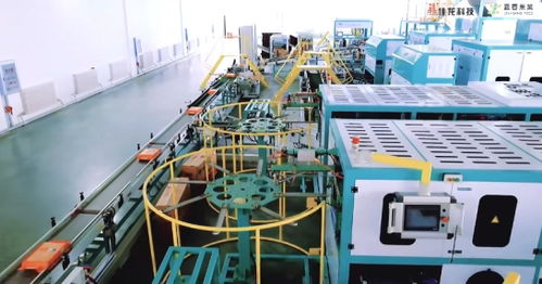 漳州佳龍 一站式智能包裝服務(wù) 讓米廠工人解放雙手