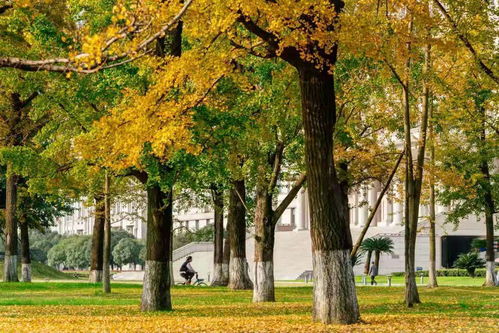 電子科技大學怎么樣 好不好 多少分能上