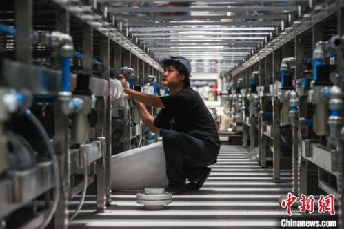 江西贛州 以工業為抓手 推動革命老區高質量發展