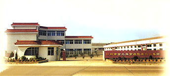 紙質(zhì)磚型液體包裝機(jī),雙色軟糖澆灌機(jī) 浙江省臺(tái)州市賽特食品設(shè)備廠 公司介紹